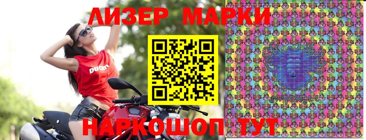 Можга  где купить наркотик  Вход с VPN  Марки 25I-NBOMe 1,8мг  Марки NBOMe 