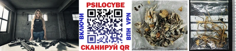 OMG ссылка  Можга  Псилоцибиновые грибы MAGIC MUSHROOMS 