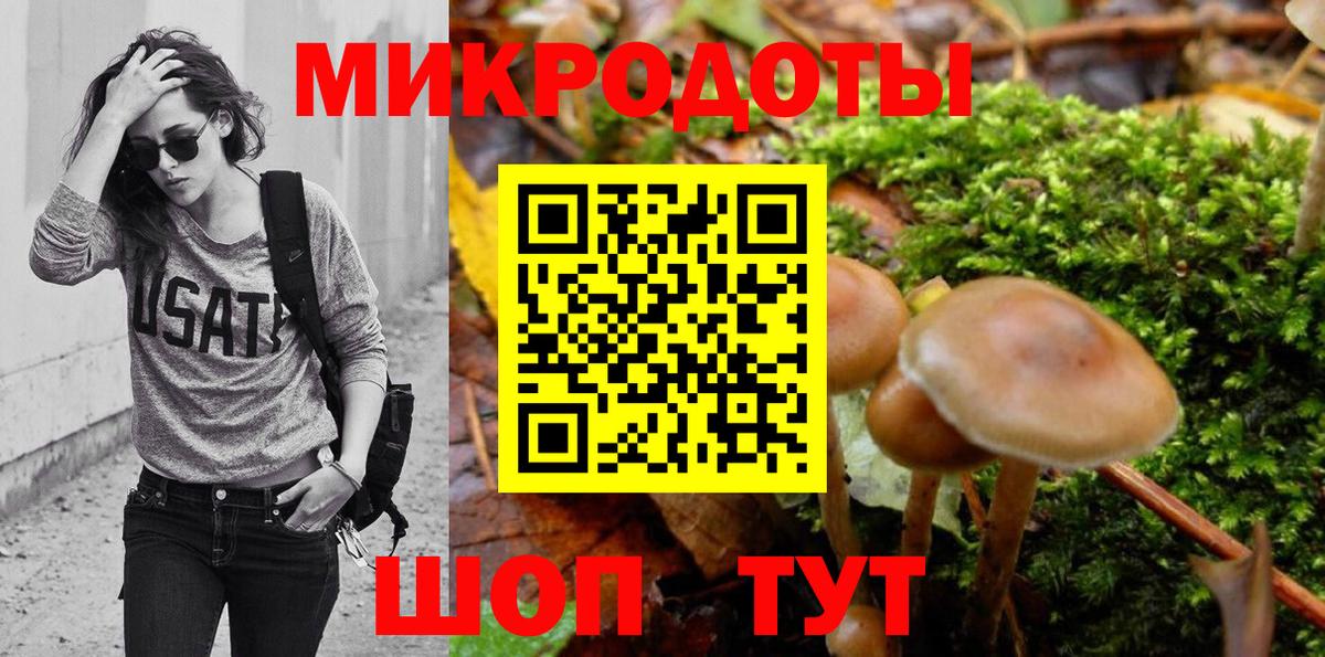 Галлюциногенные грибы Psilocybine cubensis Можга