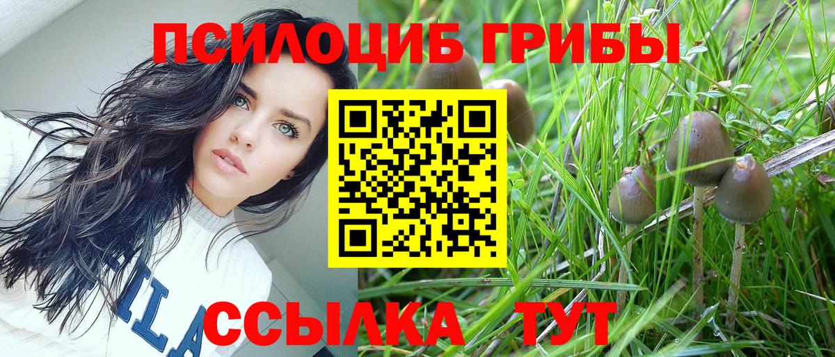 Галлюциногенные грибы Magic Shrooms  Вход с VPN  Псилоцибиновые грибы мицелий  Можга 