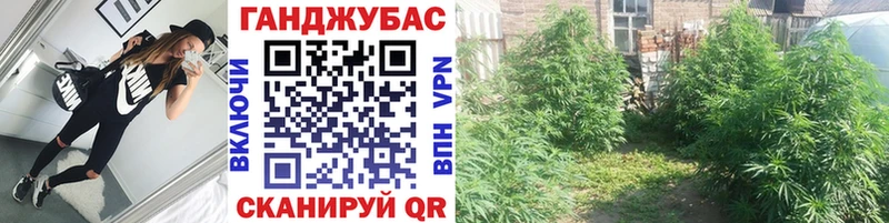 где можно купить наркотик  Можга  Бошки Шишки Bruce Banner 